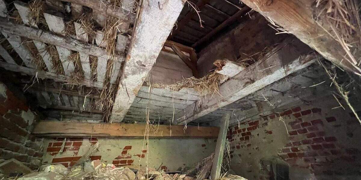 Doppelhaushälfte Fehrbellin-Dechtow Dechtow - 2 Zimmer, 60 m&sup2;, 35.000&euro; | Angebot:25704490