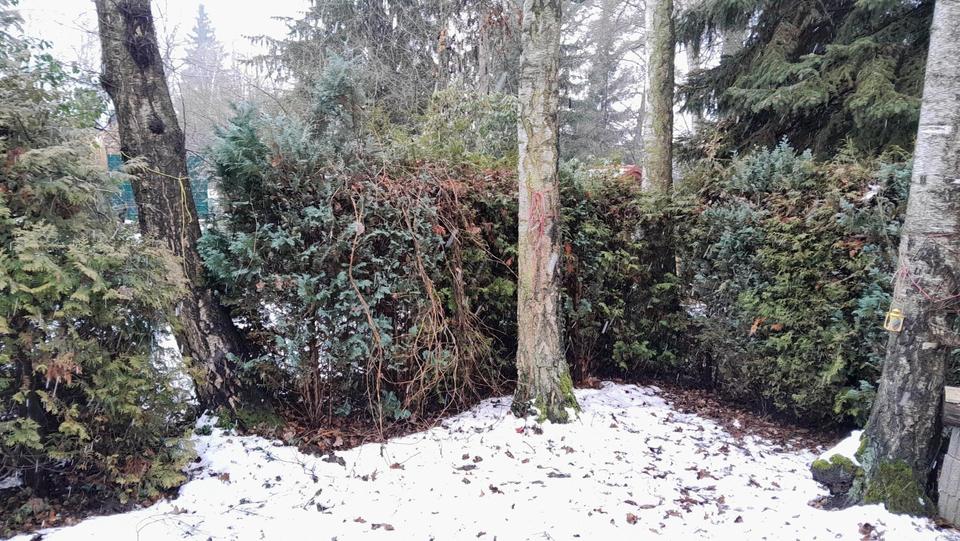 Bungalow Oschatz - 45.000&euro; | Angebot:23500863
