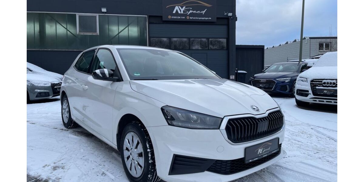 Skoda Fabia 86.460 km 9.999 &euro; Salach 73084