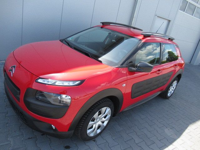 C4 Cactus