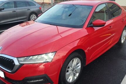 Skoda Octavia 97.500 km 15.480 &euro; Eichenzell 36124