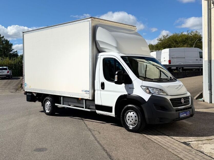 Ducato