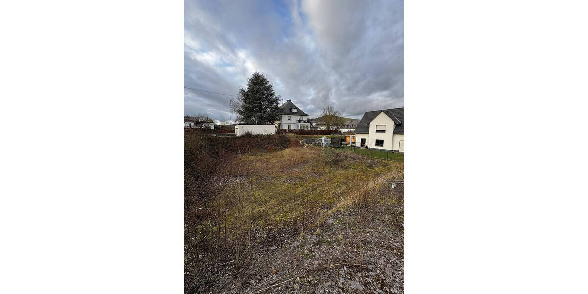 Grundstück Leiwen - 365.000&euro; | Angebot:25745149