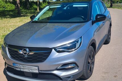 Opel Grandland (X) 142.000 km 13.500 &euro; Landau 76833