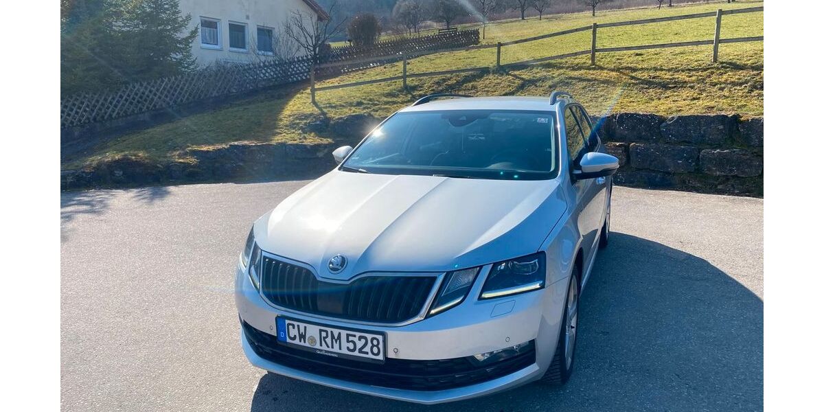 Skoda Octavia 220.000 km 12.300 &euro; Altensteig-Wart 72213