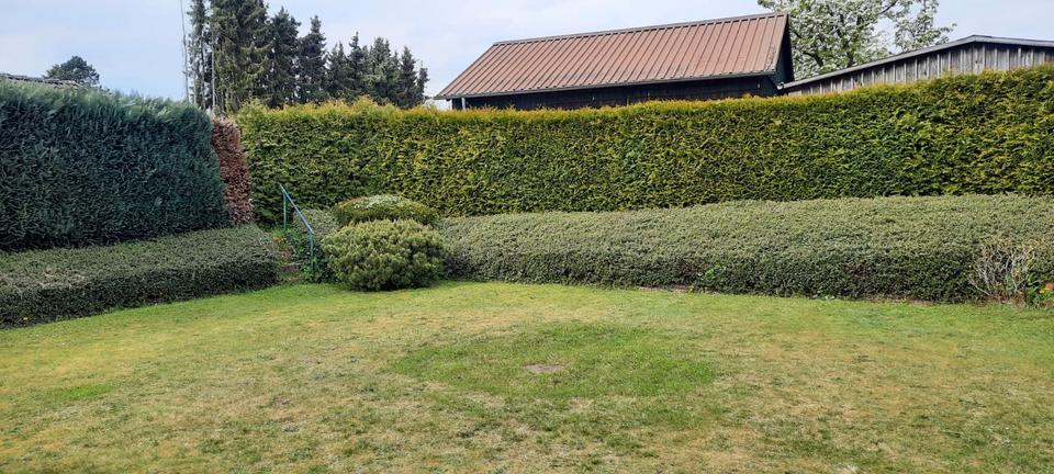 Bungalow Sögel - 4 Zimmer, 180 m&sup2;, 1.250&euro; | Angebot:26284227
