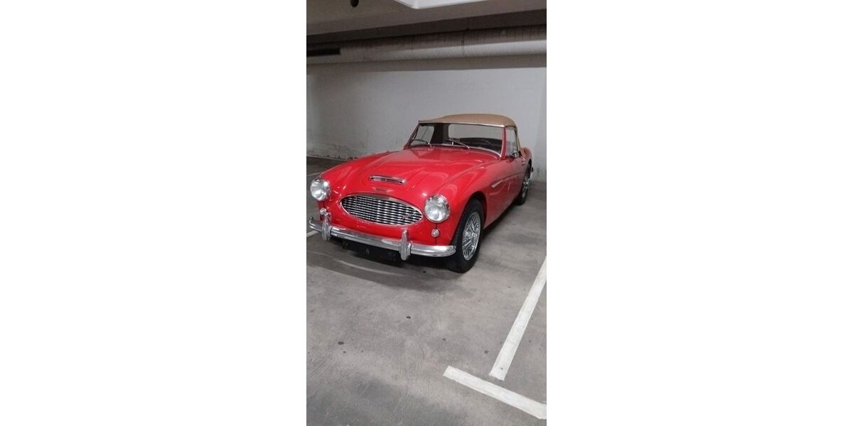 Austin Healey Andere 114.200 km 48.000 &euro; Pullach 82049