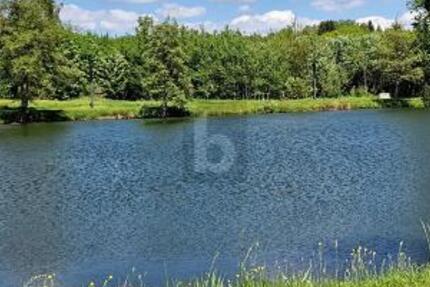 TOP LAGE IM SÜDSCHWARZWALD - Gewerbeobjekt Herrischried | Angebot:26082659