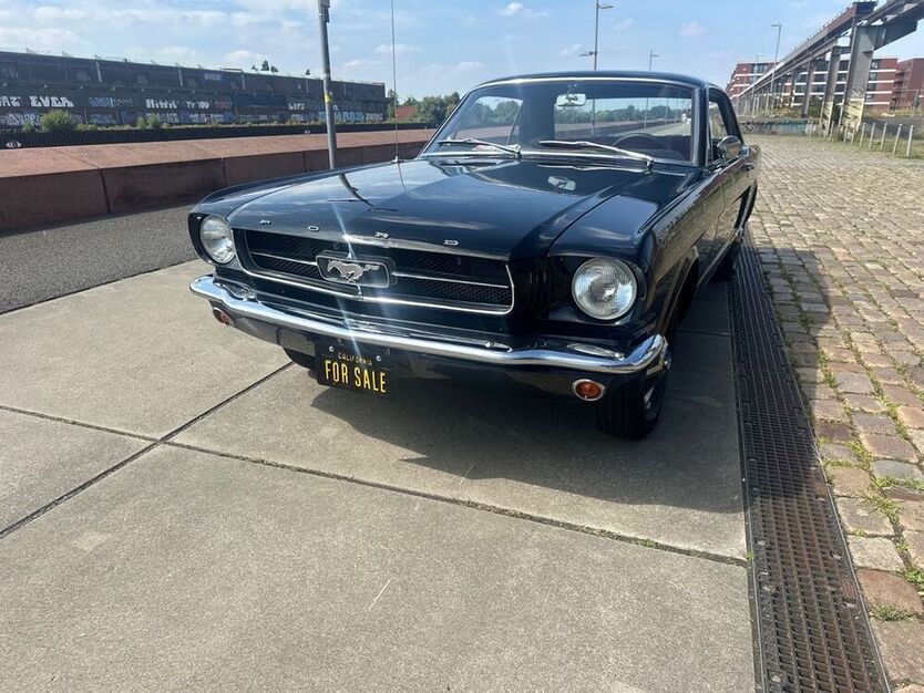 Mustang