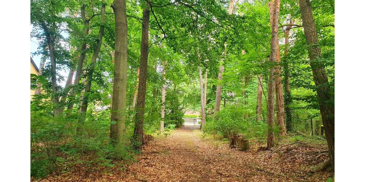 Grundstück Michendorf - 348.000&euro; | Angebot:25458870