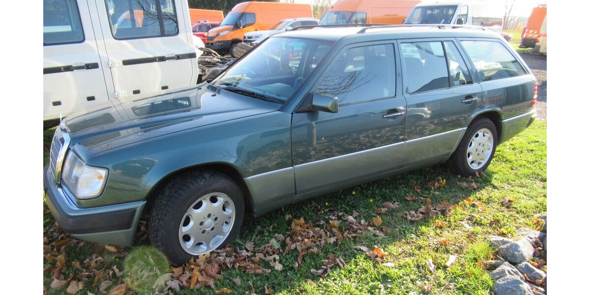 Mercedes-Benz 220 317.599 km 3.000 &euro; Stolpen 01833