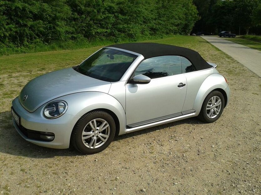 Beetle