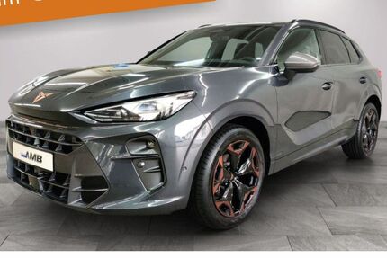 Cupra Terramar 10.000 km 42.690 &euro; Borna 04552