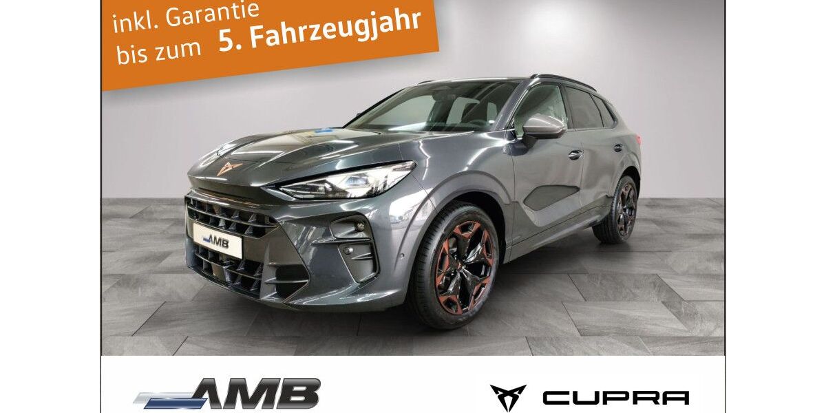 Cupra Terramar 10.000 km 42.980 &euro; Borna 04552