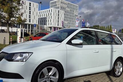 Skoda Fabia 124.038 km 8.589 € Wolfsburg 38446