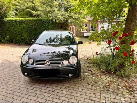 VW Polo 122.000 km 1.600 &euro; Münster 48153
