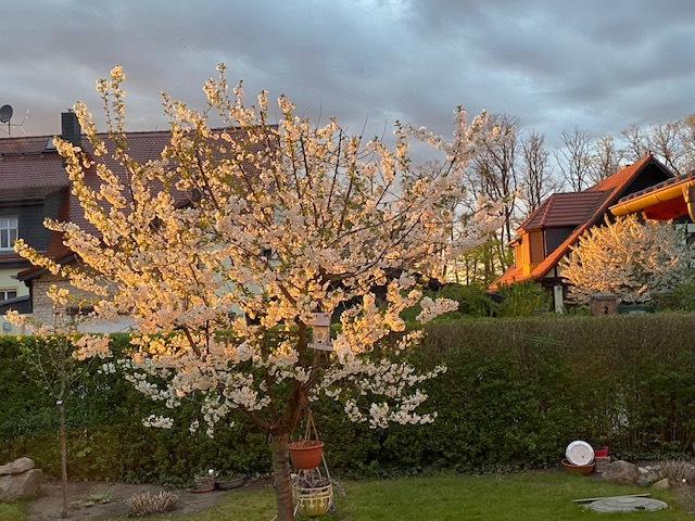 Einfamilienhaus Eberswalde - 3 Zimmer, 100 m&sup2;, 1.300&euro; | Angebot:25979336