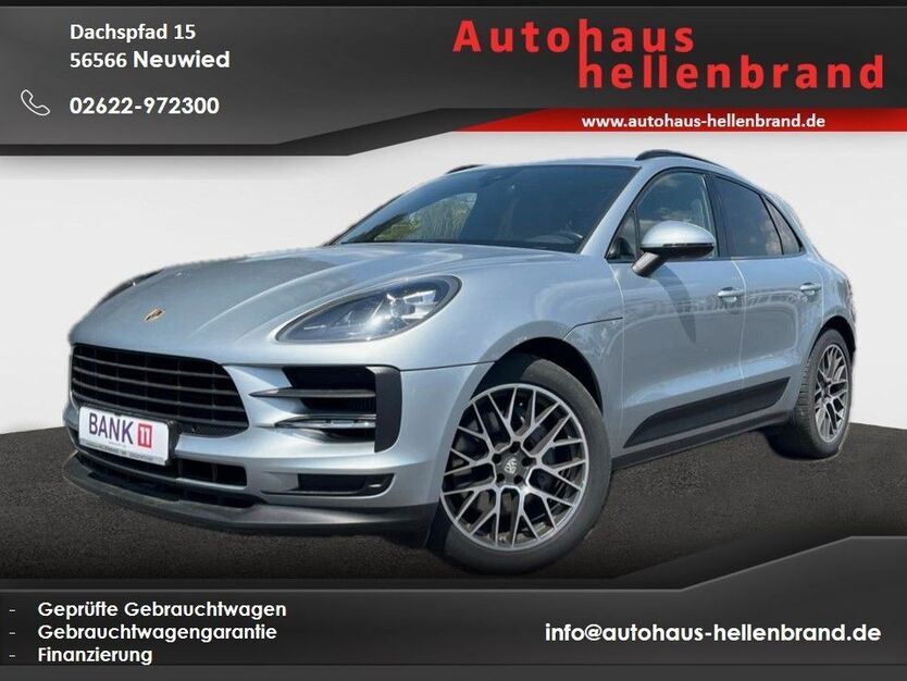 Macan