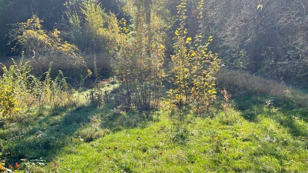 Grundstück Freital Weißig - 85.000&euro; | Angebot:23987562