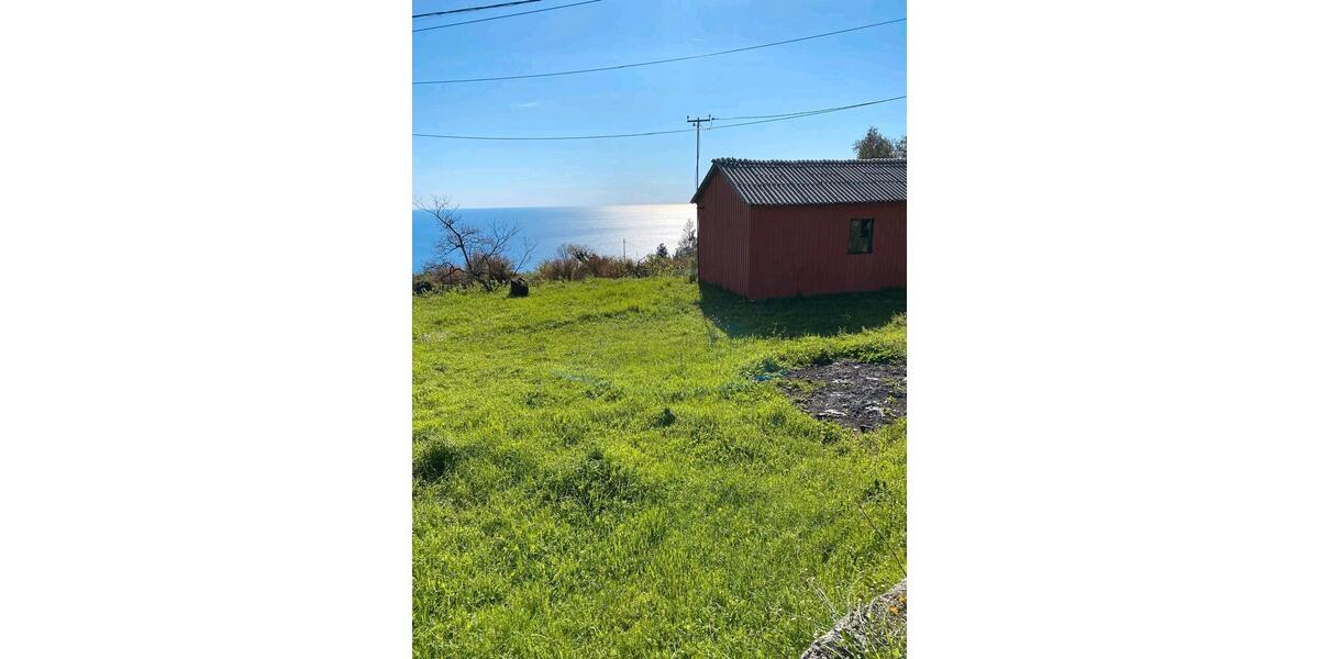 Einfamilienhaus Dresden Neustadt - 50.000&euro; | Angebot:26337572