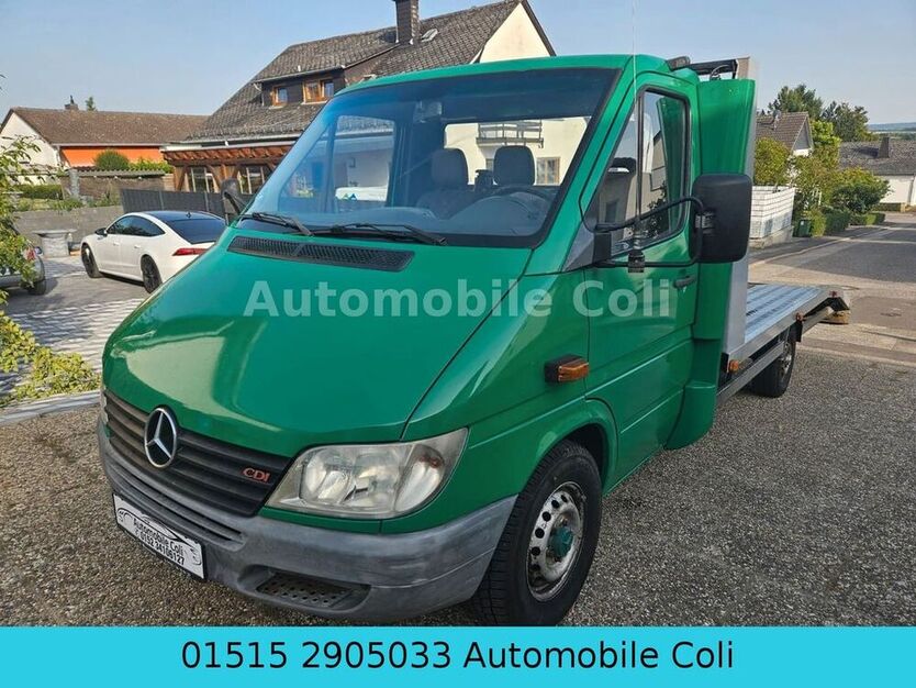 Sprinter