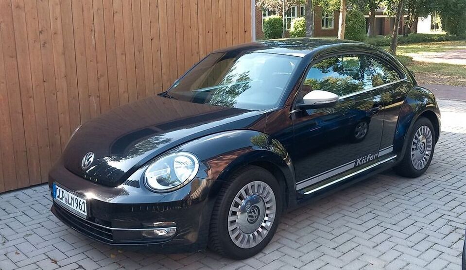 Beetle