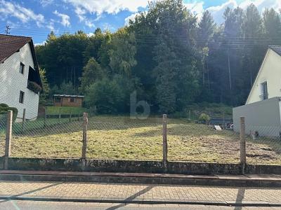 SUPER LAGE UND AUSRICHTUNG, ERSCHLOSSEN, B-PLAN - Grundstück Beckingen | Angebot:25230415