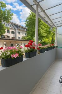 ERDGESCHOSS, SOFORT VERFÜGBAR & GARTENNUTZUNG - Erdgeschoßwohnung Oberhausen | Angebot:25832320