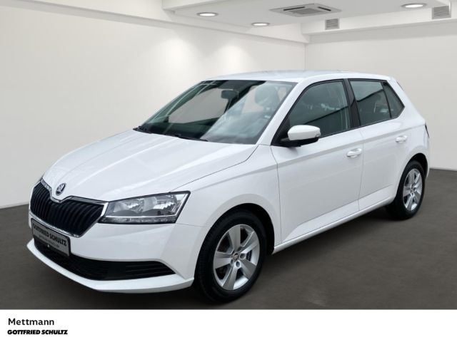 Skoda Fabia 19.427 km 12.950 € Mettmann 40822