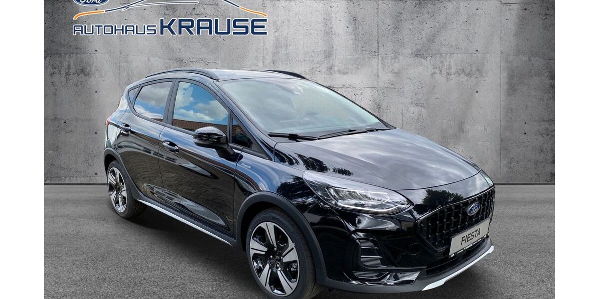 Ford Fiesta 10 km 22.490 &euro; Machern 04827