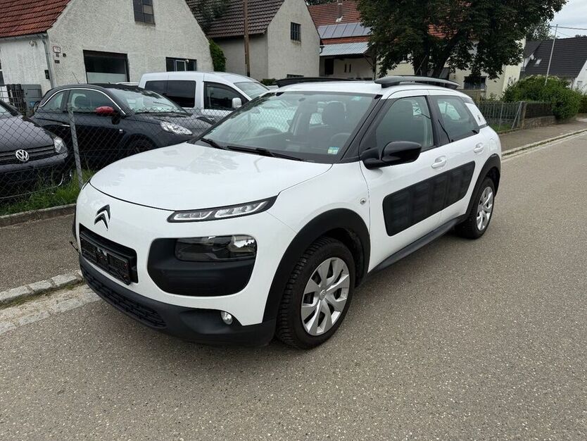 C4 Cactus