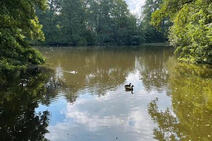 Kapitalanlage oder ihr neues Zuhause! 3ZKB inkl Stellplatz 3 zimmer