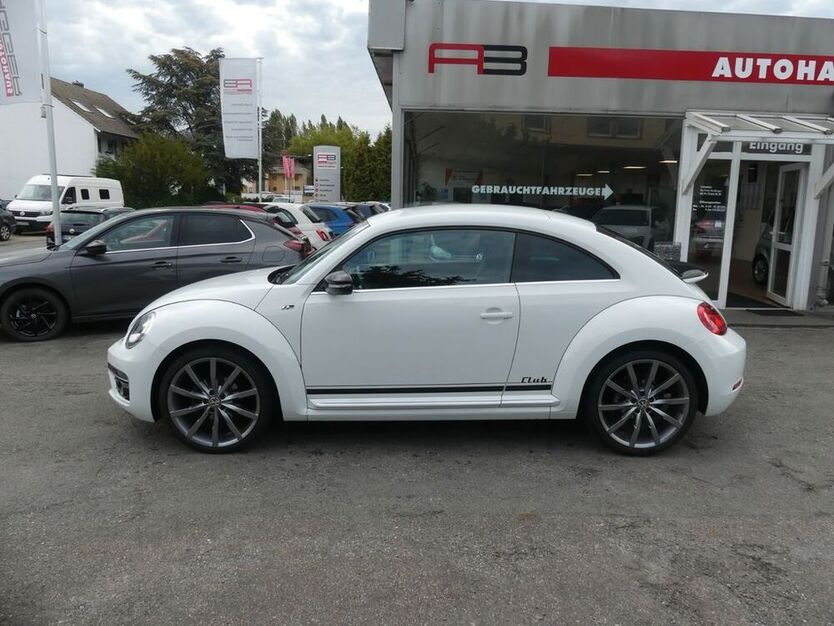 Beetle