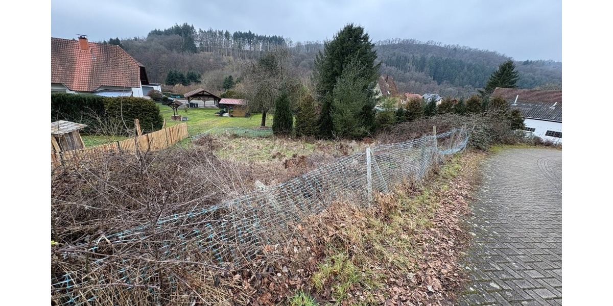 Charmantes, denkmalgeschütztes Einfamilienhaus mit Privatsphäre und Naturanschluss - Einfamilienhaus Niederalben | Angebot:25363338