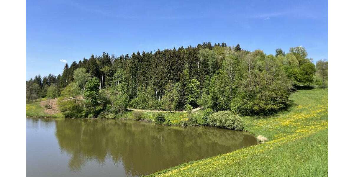 Gewerbeobjekt Täferrot - 250.000&euro; | Angebot:20550653