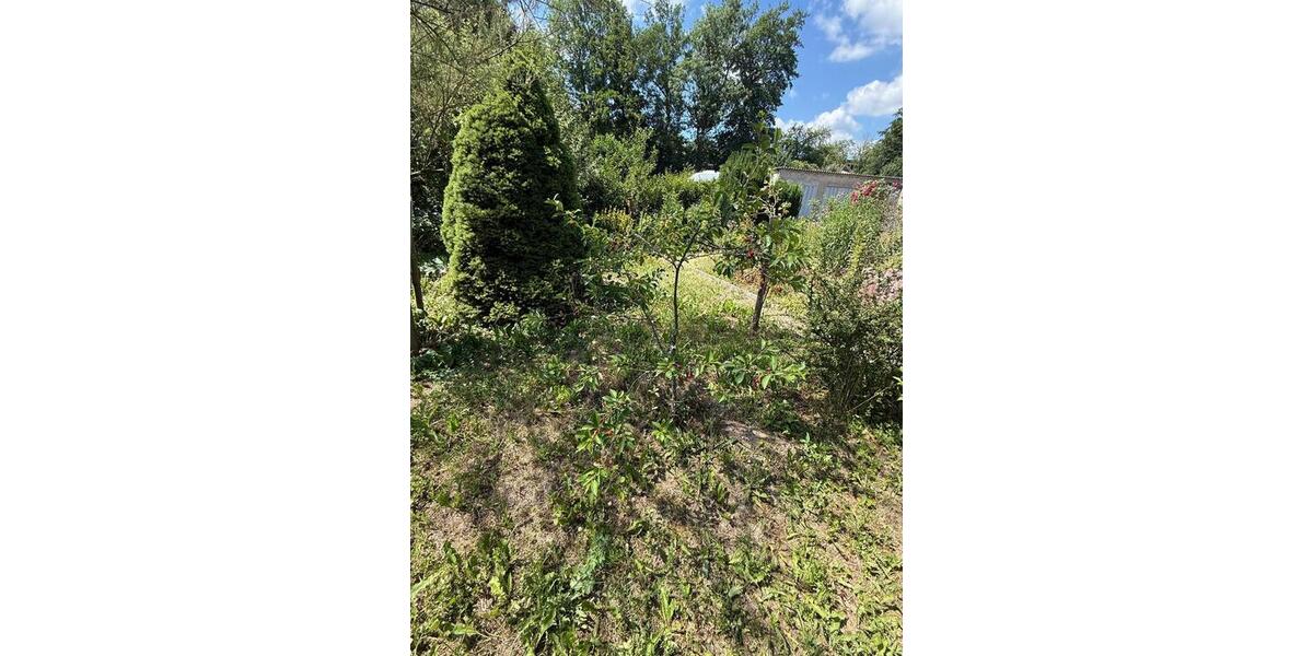 Grundstück Arnstadt - 500&euro; | Angebot:26062088