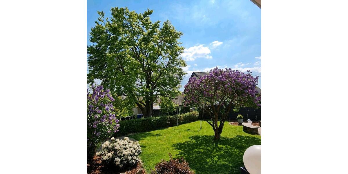 Mehrfamilienhaus, Wohnhaus Kirchberg (Hunsrück) - 9 Zimmer, 264 m&sup2;, 498.000&euro; | Angebot:26821541