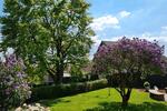 Mehrfamilienhaus, Wohnhaus Kirchberg (Hunsrück) - 9 Zimmer, 264 m&sup2;, 498.000&euro; | Angebot:26821541