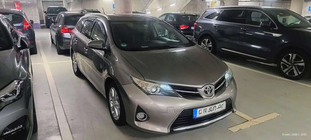 Auris