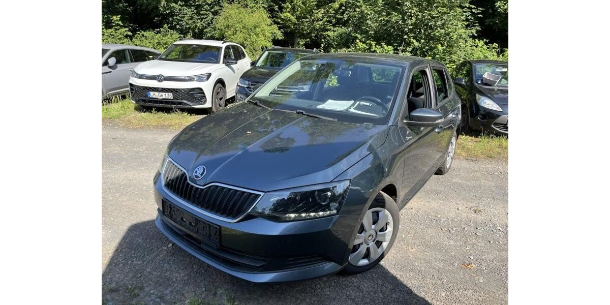 Skoda Fabia 160.000 km 8.490 &euro; Nürnberg 90439