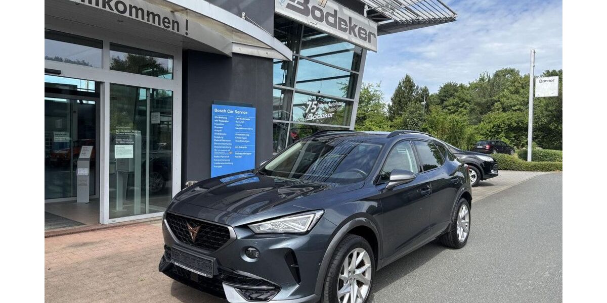 Cupra Formentor 106.045 km 19.490 &euro; Langgöns 35428