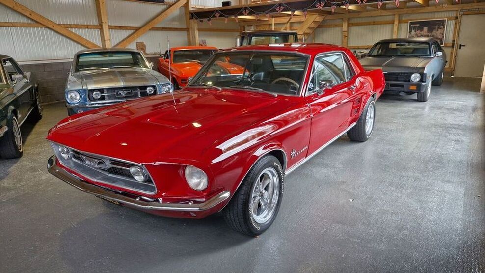 Mustang