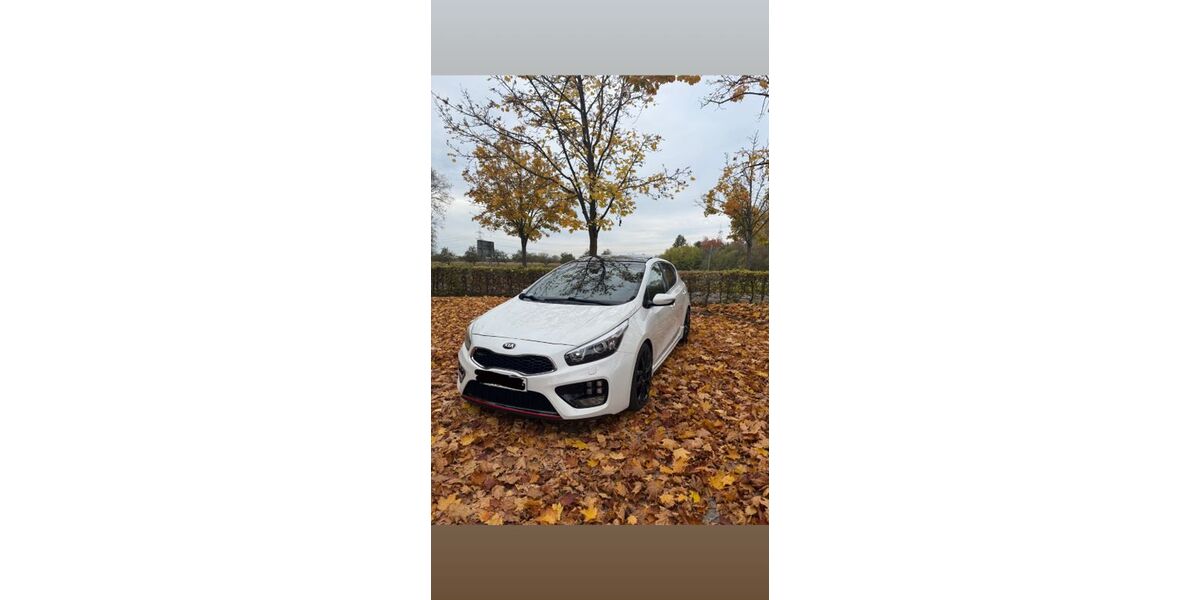 Kia ceed / Ceed 83.800 km 14.800 &euro; Malsch 76316