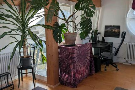 Maisonettenwohnung zur Untermiete (für 12 Monate) frei 2 zimmer