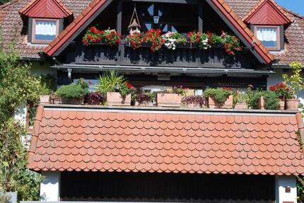 freistehendes 2 Familienhaus Architektenhaus ~300qm WF+NF 6 zimmer