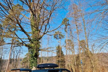 VW T5 Transporter 260.000 km 8.450 &euro; Trippstadt 67705