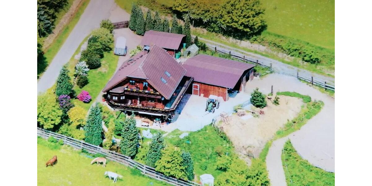 BAUERNHOF - PFERDEHOF - 4 HEKTAR WEIDE DIREKT AM HAUS zimmer