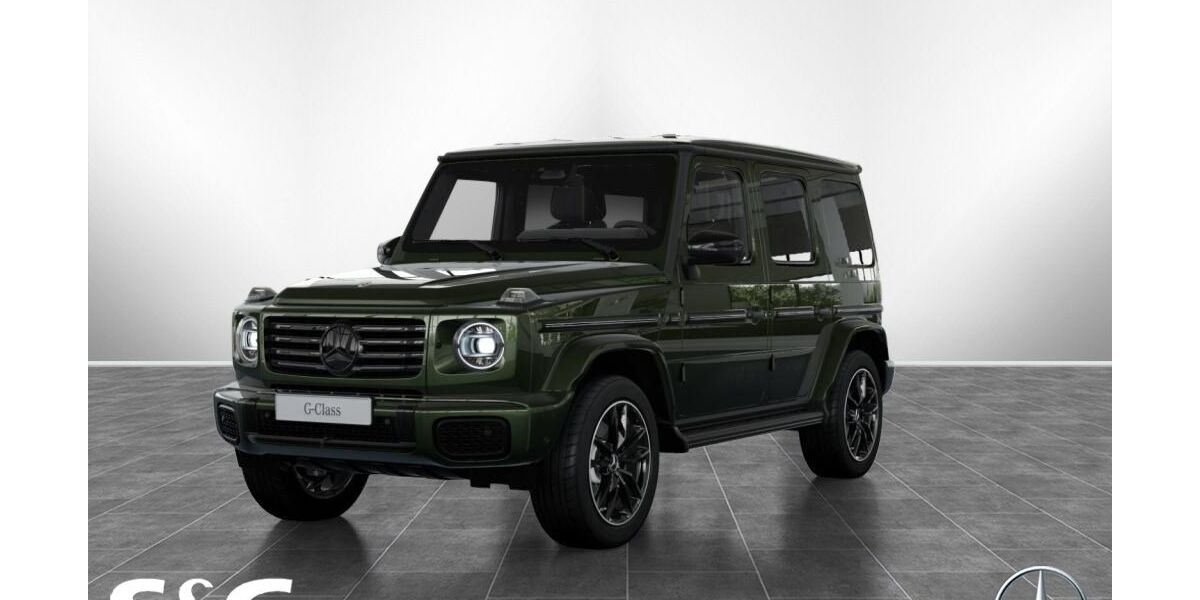 Mercedes-Benz G 450 10.000 km 171.110 &euro; Pforzheim 75179