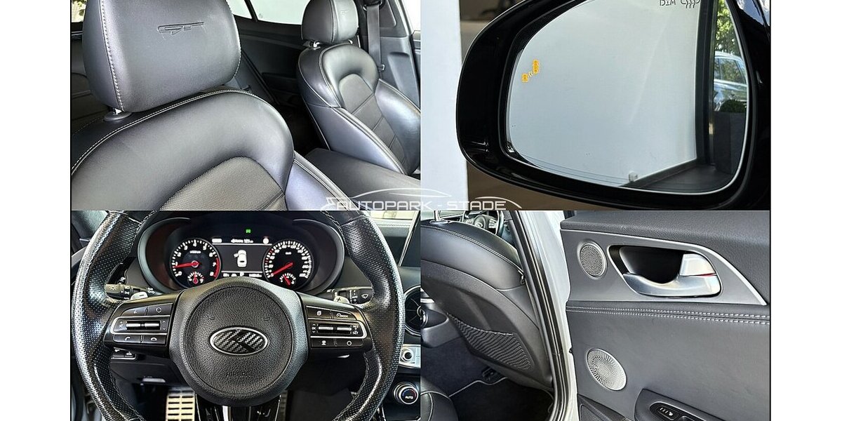 Kia Stinger GT 4WD LED Pano HUD ACC Kam Ass 110.000 km 29.990 &euro; Stade 21682