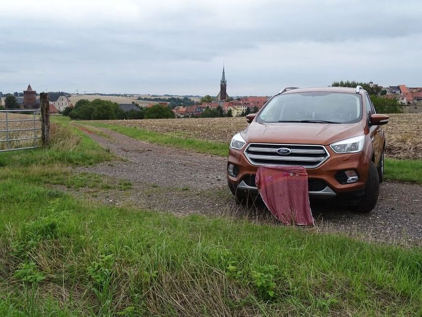 Kuga